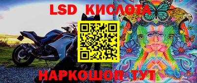 прущие крисы Лесосибирск